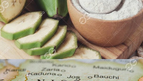 ¿Cómo Desarrollar Con éxito El Negocio De Harina De Plátano En Nigeria?