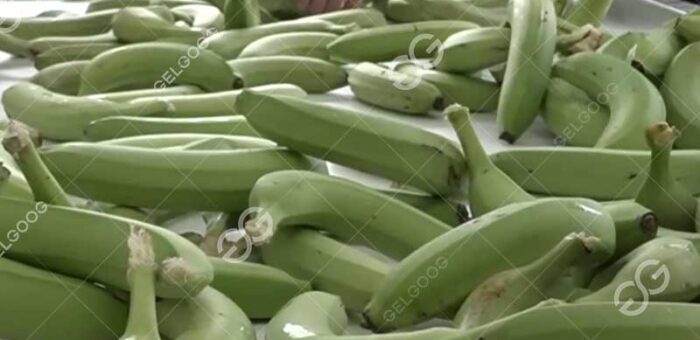 ¿Cuáles son los desafíos que enfrentan actualmente las empresas en la industria bananera?