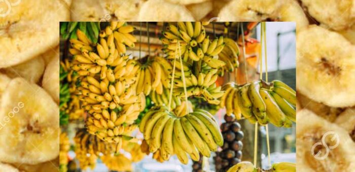 Plan de negocios comercial de chips de plátano Filipinas
