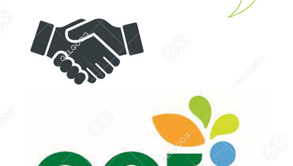 Clientes De Indonesia Pide Nuestra Línea De Producción De Banano