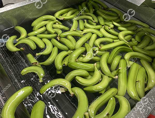 lavadora de plátanos